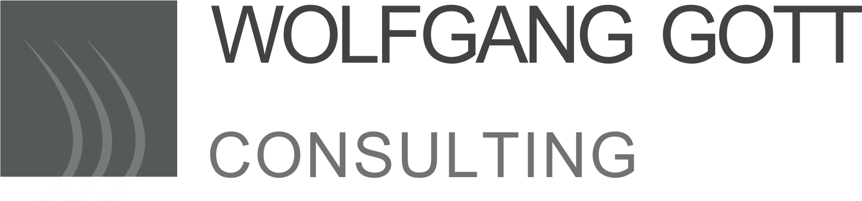 W. Gott business consulting