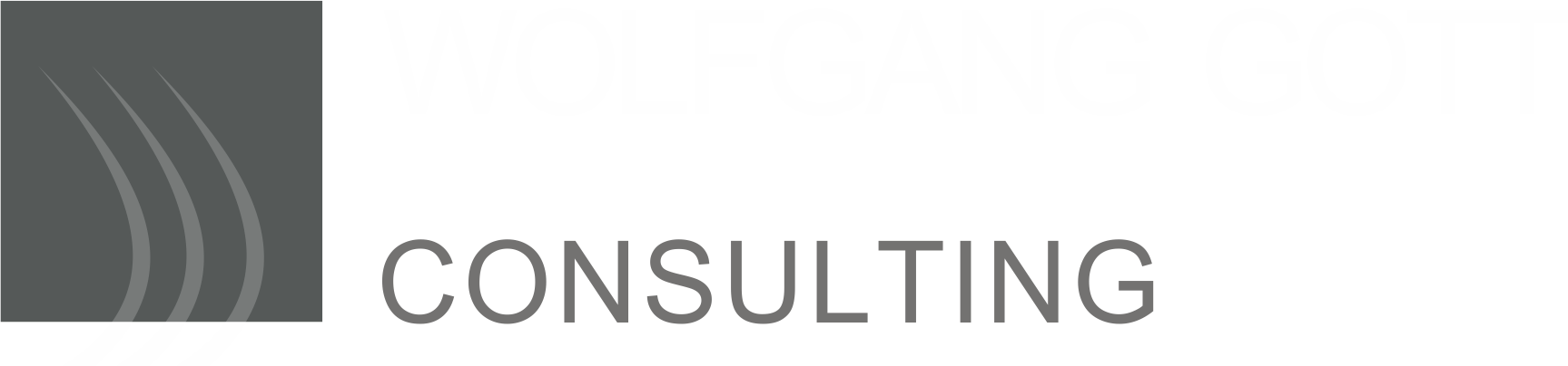 W. Gott business consulting